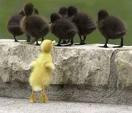 Learning to Belong